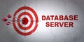 Programming concept: target and Database Server on wall background Royalty Free Stock Photo