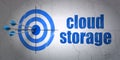 Safety concept: target and Cloud Storage on wall background Royalty Free Stock Photo