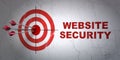 Safety concept: target and Website Security on wall background