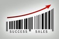 Success sales Royalty Free Stock Photo