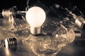 Success Small Bulb Royalty Free Stock Photo