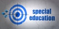 Studying concept: target and Special Education on wall background Royalty Free Stock Photo