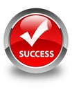 Success (validate icon) glossy red round button