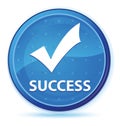 Success (validate icon) midnight blue prime round button