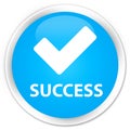 Success (validate icon) premium cyan blue round button