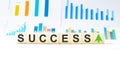 Success word made with wooden blocks, concept Royalty Free Stock Photo