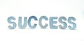 Success word painted letter on white background. Standing wooden letter. Positive word for business or education process