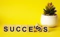 Success word written on a wooden block. Success text on yellow table with cactus, for your design Royalty Free Stock Photo