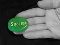 Success at your fingertips Royalty Free Stock Photo