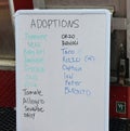 Successful Adoptions for Nashville Cat Rescue at Oktoberfest Event