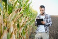 successful agriculturist in field of corn Royalty Free Stock Photo