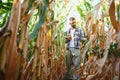 successful agriculturist in field of corn Royalty Free Stock Photo