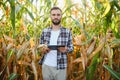 successful agriculturist in field of corn Royalty Free Stock Photo