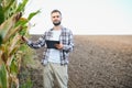 successful agriculturist in field of corn Royalty Free Stock Photo