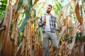 successful agriculturist in field of corn Royalty Free Stock Photo