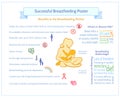 Successful Breastfeeding Poster. Maternity Infographic Template.