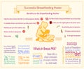 Successful Breastfeeding Poster. Maternity Infographic Template.