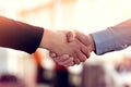 Successful business people handshaking closing a deal Royalty Free Stock Photo