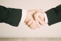 Successful business people handshaking closing a deal Royalty Free Stock Photo