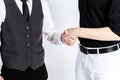 Successful business people handshaking closing a deal Royalty Free Stock Photo