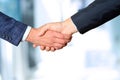 Successful business people shaking hands at the meeting Royalty Free Stock Photo