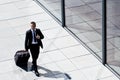 Successful Corporate Man With Luggage Royalty Free Stock Photo