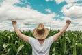 Successful female agronomist farmer with hands raised in the air in cultivated green corn maize crop field