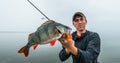 Successful Fisherman with big perch fish trophy Royalty Free Stock Photo