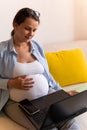 Successful hardworking Pregnant business Woman With Laptop and Noutbook. Young Ledy In Pregnancy Work conducts an online