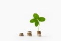 Successful investment, money savings, wealth, financial growth concept. Good luck, shamrock, abundance, income growth. Coins and Royalty Free Stock Photo