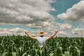 Successful male agronomist farmer with hands raised in the air in cultivated green corn maize crop field