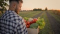 Successful male man guy Caucasian farmer shopper agricultural businessman client hands carrying box crate vegetables