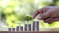 Successful money business growth idea, a tree growing on a pile of silver coins. Royalty Free Stock Photo