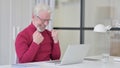 Successful Old Man Celebrating on Laptop at Work Royalty Free Stock Photo