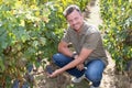 Successful winemaker man working in vineyard