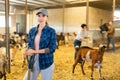 Successful woman farmer posing in barn with domestic goats