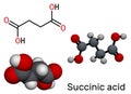 Succinic acid, butanedioic acid, C4H6O4 molecule. It is food additive E363. Anion, succinate, is component of citric acid or TCA.