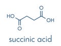 Succinic acid butanedioic acid, spirit of amber molecule. Intermediate of citric acid cycle. Salts and esters known as. Royalty Free Stock Photo