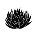 Succulent agave in simple style, vector illustration. Desert flower for print and design. Silhouette mexican plant