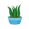 Succulent Aloe Vera in a pot, home plant in a flowerpot cartoon vector Illustration Royalty Free Stock Photo