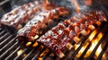 Succulent american bbq ribs sizzling on grill with smoky charcoal fire cooking juicy meat Royalty Free Stock Photo