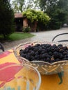 Lots of succulent blackberries in a bowl