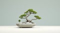 Succulent Bonsai Tree In A Pot - 3d Stock Photo For Desktop Wallpaper