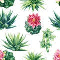 Succulent and cactus seamless pattern. Watercolor botanical illustration, background succulents, stone rose Royalty Free Stock Photo