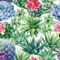 Succulent and cactus seamless pattern. Watercolor botanical illustration, background succulents, stone rose Royalty Free Stock Photo