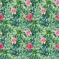 Succulent and cactus seamless pattern. Watercolor botanical illustration, background succulents, stone rose Royalty Free Stock Photo