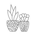 Succulent coloring book page for children. House plants in pot on a white background isolated. Doodle vector illustration