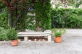 Green plants in pots. Outdoor on the summer patio. Small townhouse perennial summer garden. Vienna, Austria. Royalty Free Stock Photo