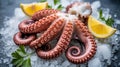 Succulent cooked octopus tentacles beautifully displayed on crushed ice with lemon slices Royalty Free Stock Photo