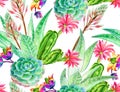 Succulent design, seamless pattern. Royalty Free Stock Photo
